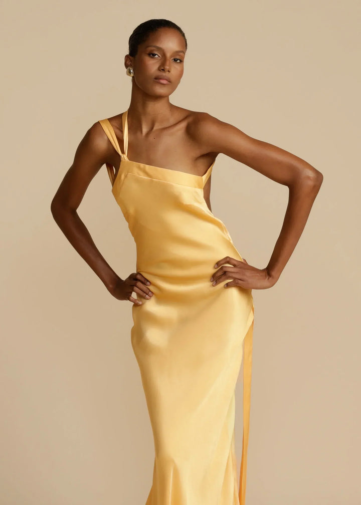 Rosea Longline Evening Dress